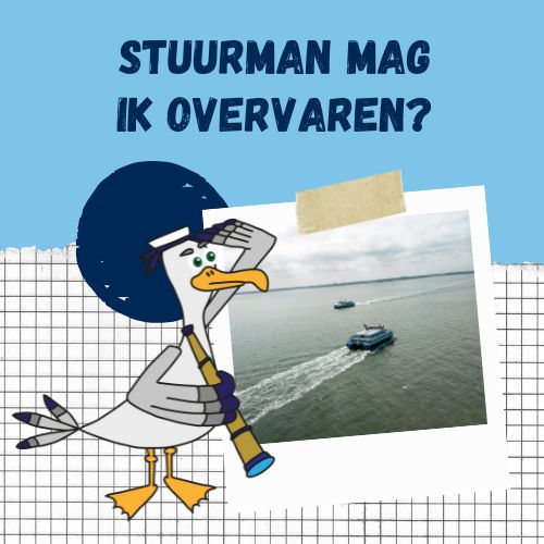 Collage met illustratie van stuurman Plume (meeuw) en een dronefoto van de schepen van de Westerschelde Ferry, die elkaar passeren op de Westerschelde