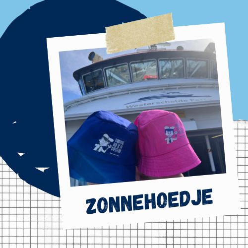 Collage met een polaroidframe met daarin een foto van de zonnehoedjes met op de achtergrond de Westerschelde Ferry. Achter de polaroid zit decoratief een lichtblauwe achtergrond, donkerblauwe cirkel en ruitjes papier.