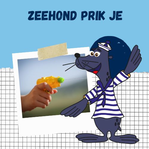 Decoratieve afbeelding bij het spel 'Zeehond prik je'